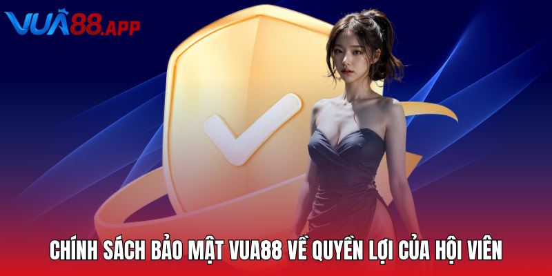 Chính sách bảo mật VUA88 về quyền lợi của hội viên