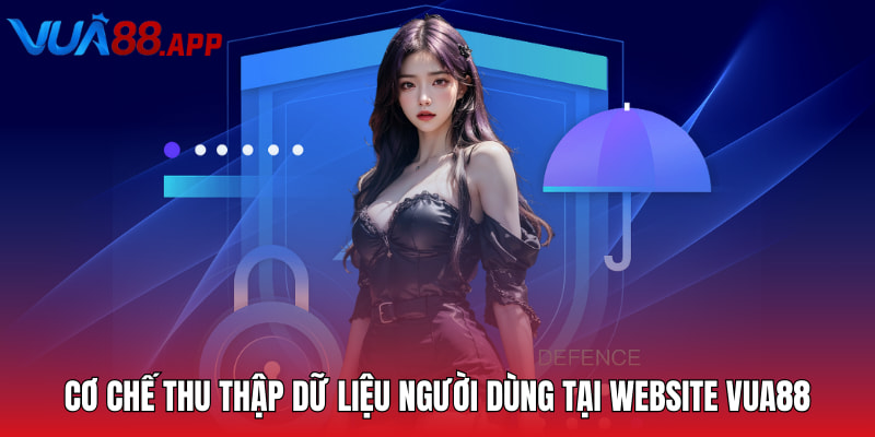 Cơ chế thu thập dữ liệu người dùng tại website VUA88