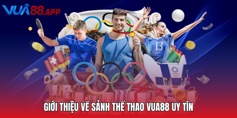 Giới thiệu về sảnh thể thao Vua88 uy tín