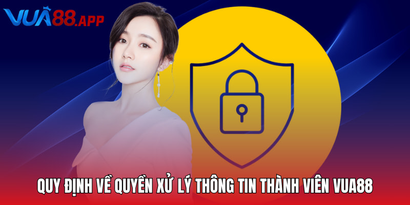 Quyền Riêng Tư VUA88 - Quy Định An Toàn Cho Hội Viên 2025 3 Quy định về quyền xử lý thông tin thành viên VUA88