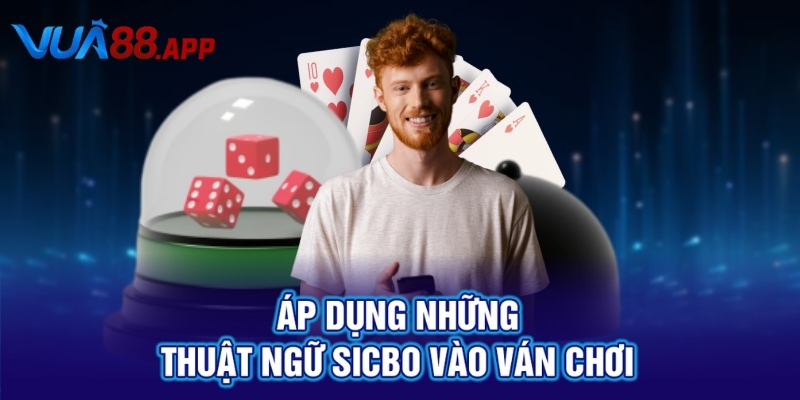 Áp dụng những thuật ngữ Sicbo vào ván chơi
