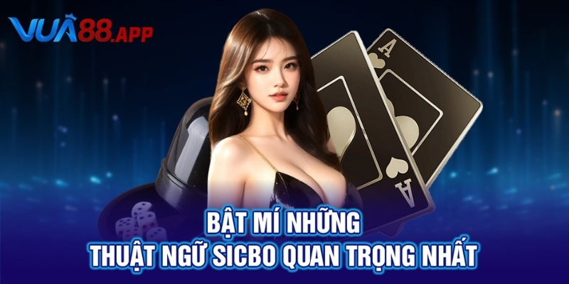 Bật mí những thuật ngữ Sicbo quan trọng nhất