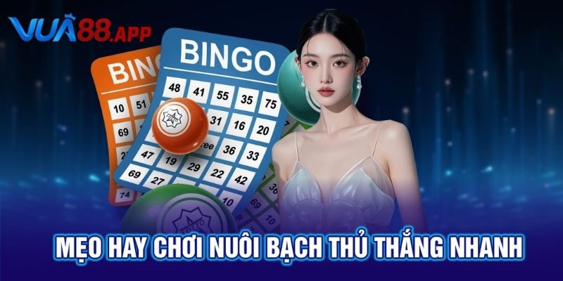 Mẹo hay chơi nuôi bạch thủ thắng nhanh