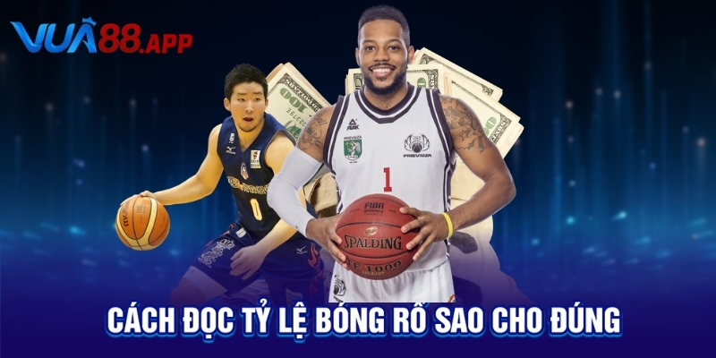 Cá Cược Bóng Rổ: Mẹo Thắng Nhanh, Kèo Chuẩn, Tỷ Lệ Cao! 3 Cách đọc tỷ lệ bóng rổ sao cho đúng