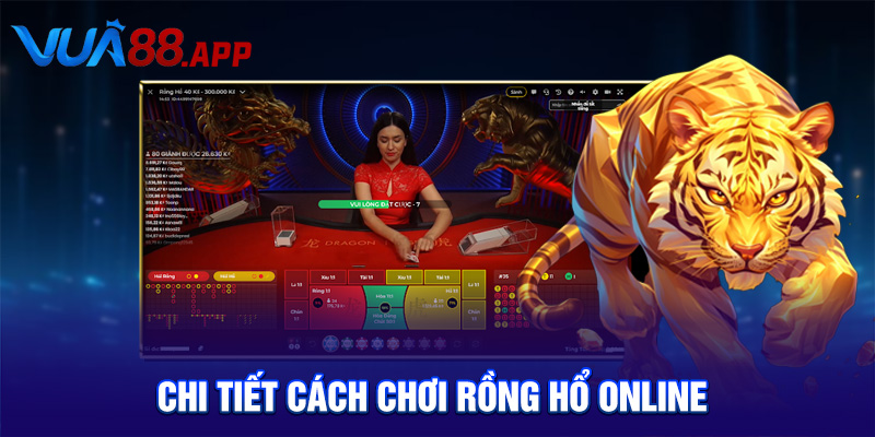 Cách Chơi Rồng Hổ Online Đỉnh Cao Tại Vua88: Mẹo Hay Cho Người Mới 3 Chi tiết cách chơi Rồng Hổ online