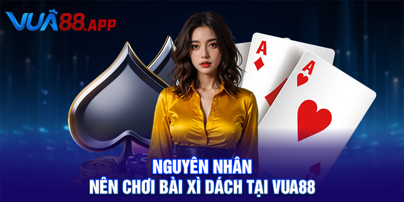 Xì Dách Là Gì? Cẩm Nang Chơi Xì Dách Từ A-Z Cùng VUA88 5 Nguyên nhân nên chơi bài xì dách tại VUA88