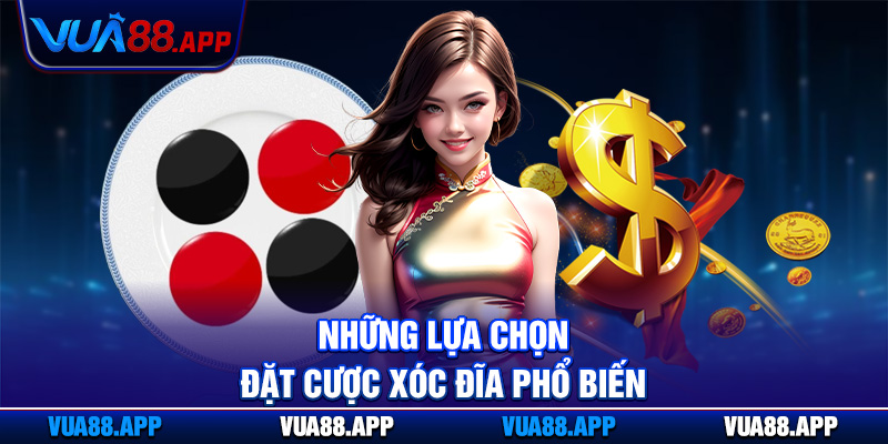 Những lựa chọn đặt cược xóc đĩa phổ biến